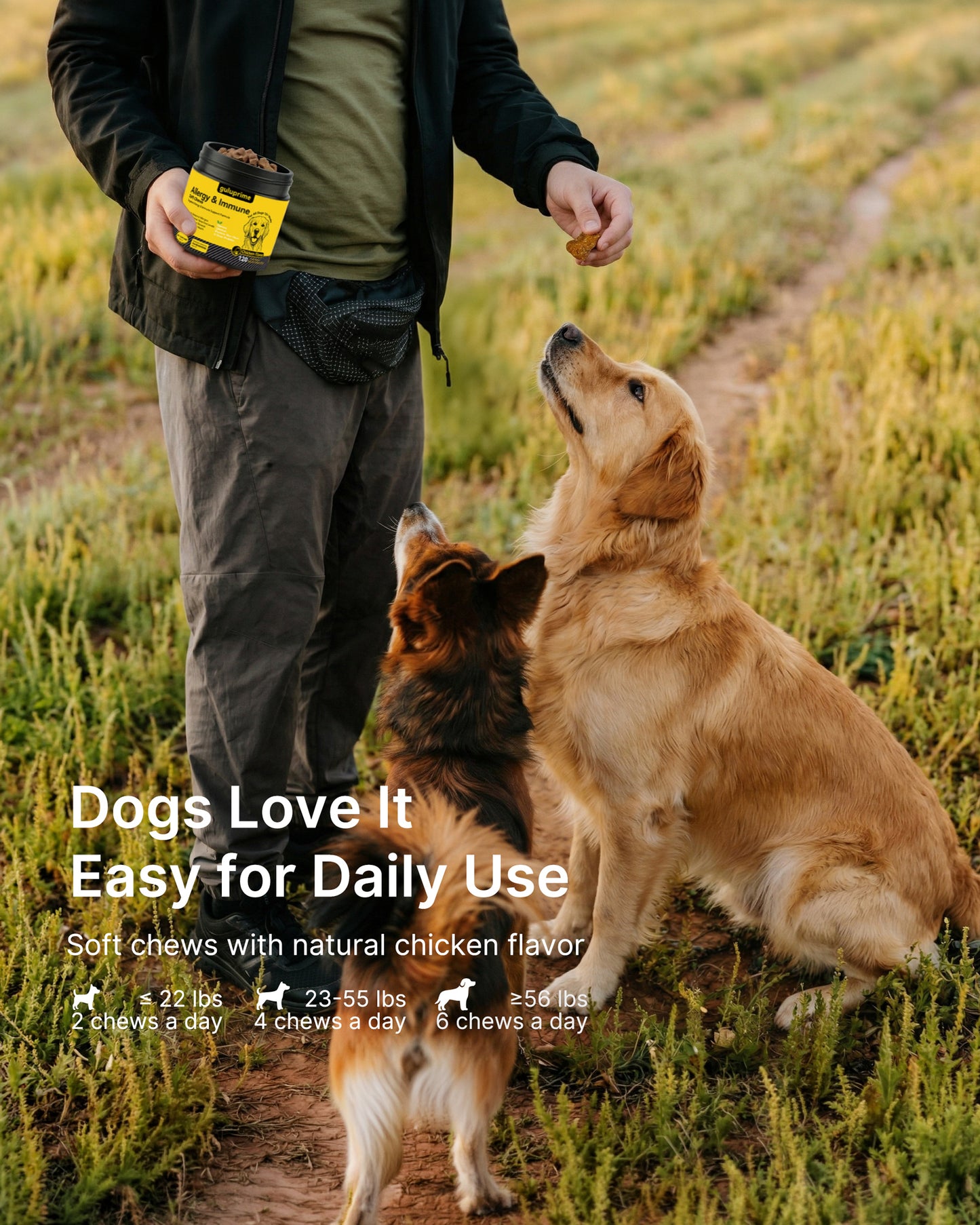 Dog Allergy Relief Chews – Allergy & Immune Support for Dogs