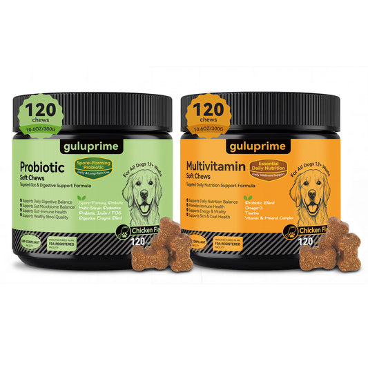 Daily Wellness Bundle