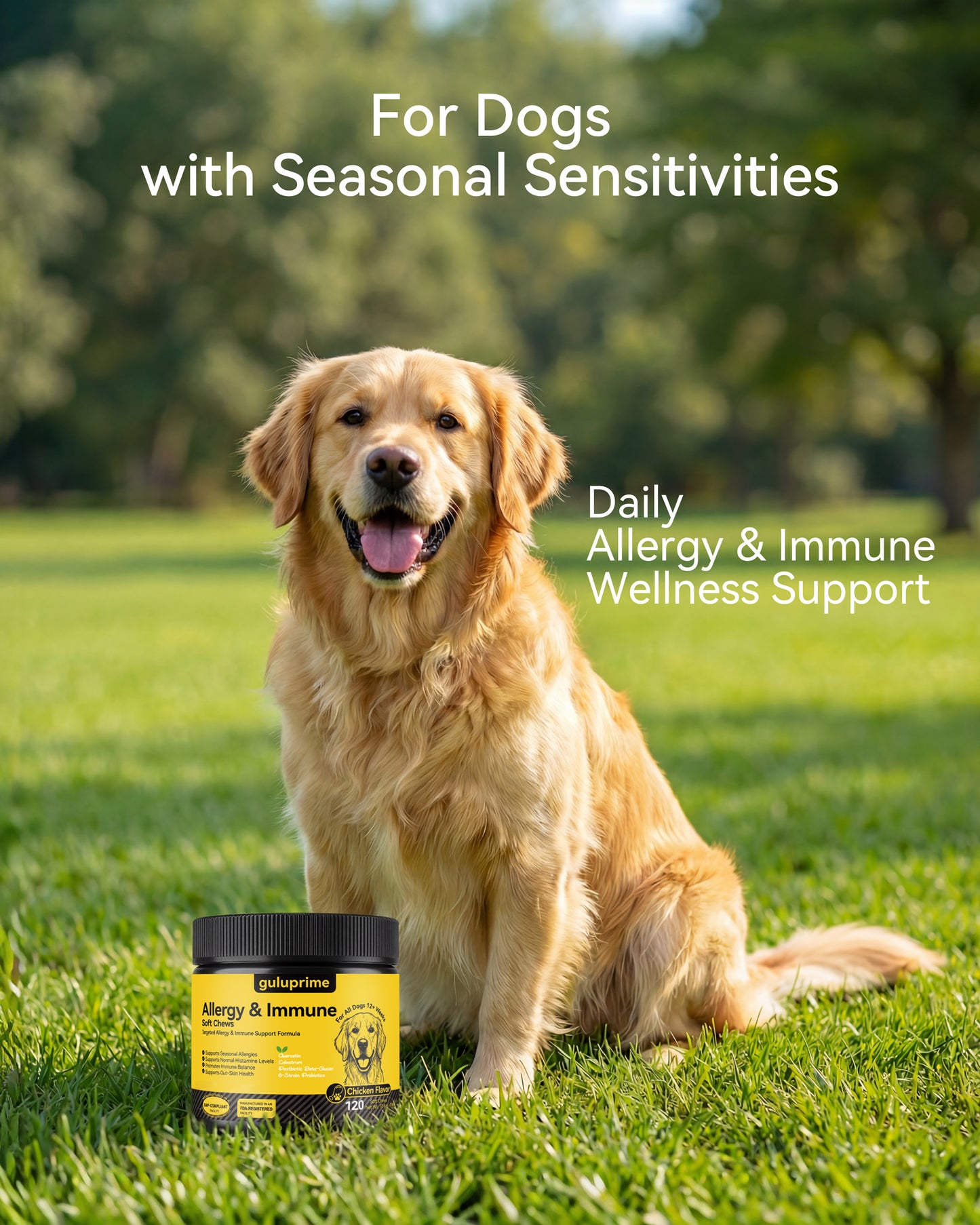 Dog Allergy Relief Chews – Allergy & Immune Support for Dogs