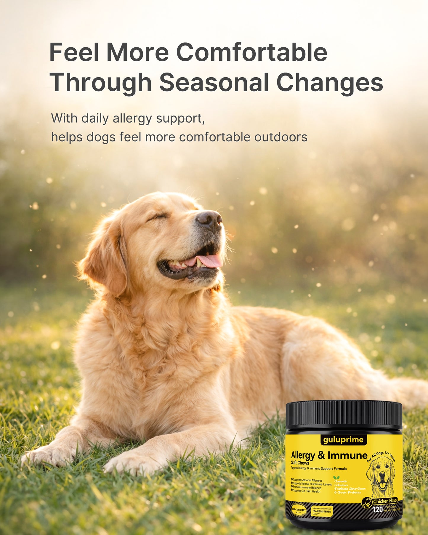 Dog Allergy Relief Chews – Allergy & Immune Support for Dogs