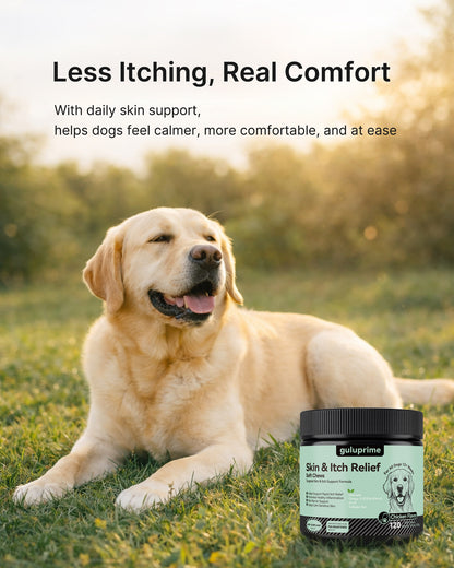 Complete Skin Support Bundle