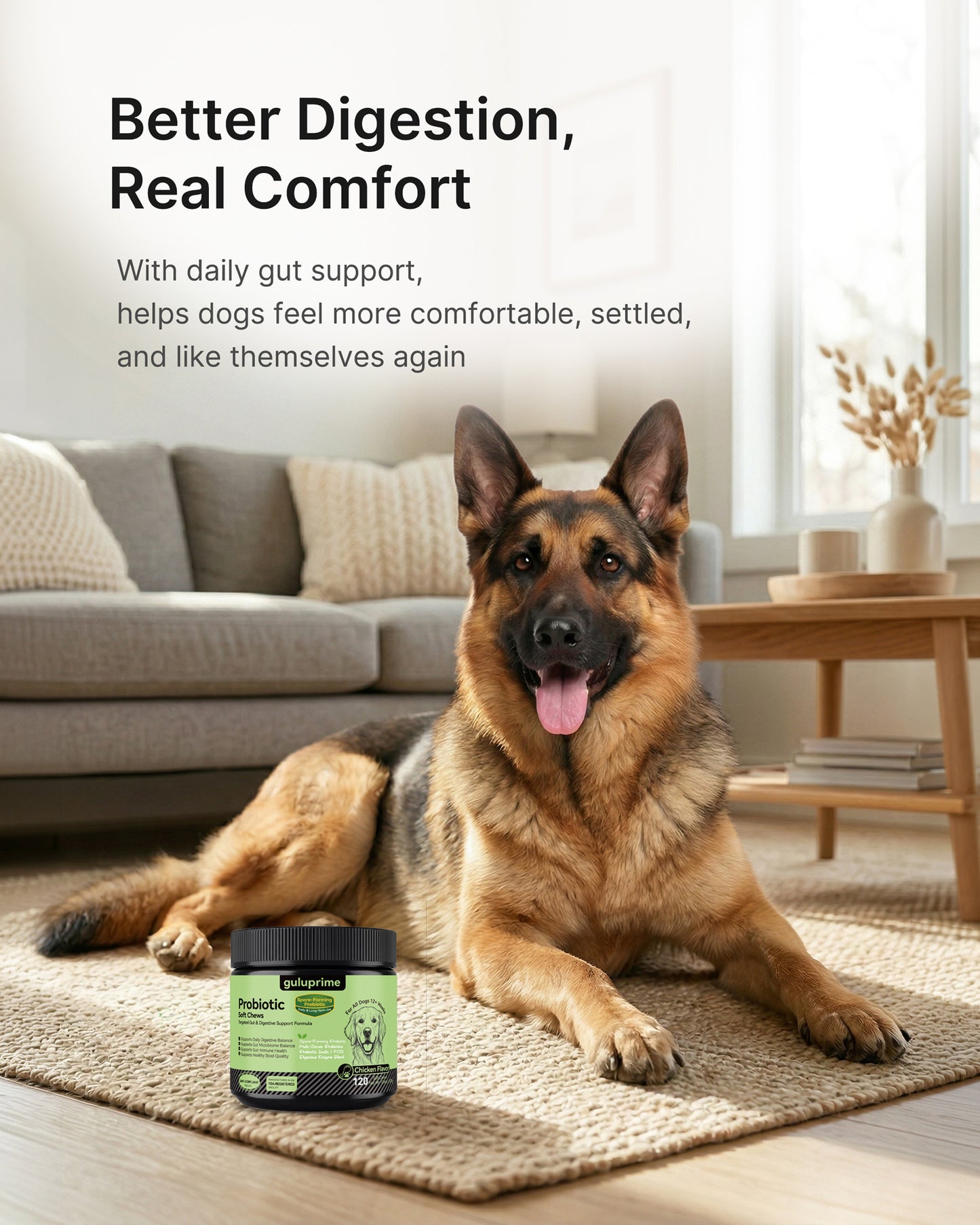 Dog Probiotic Chews – Probiotics for Dogs Gut Health Support