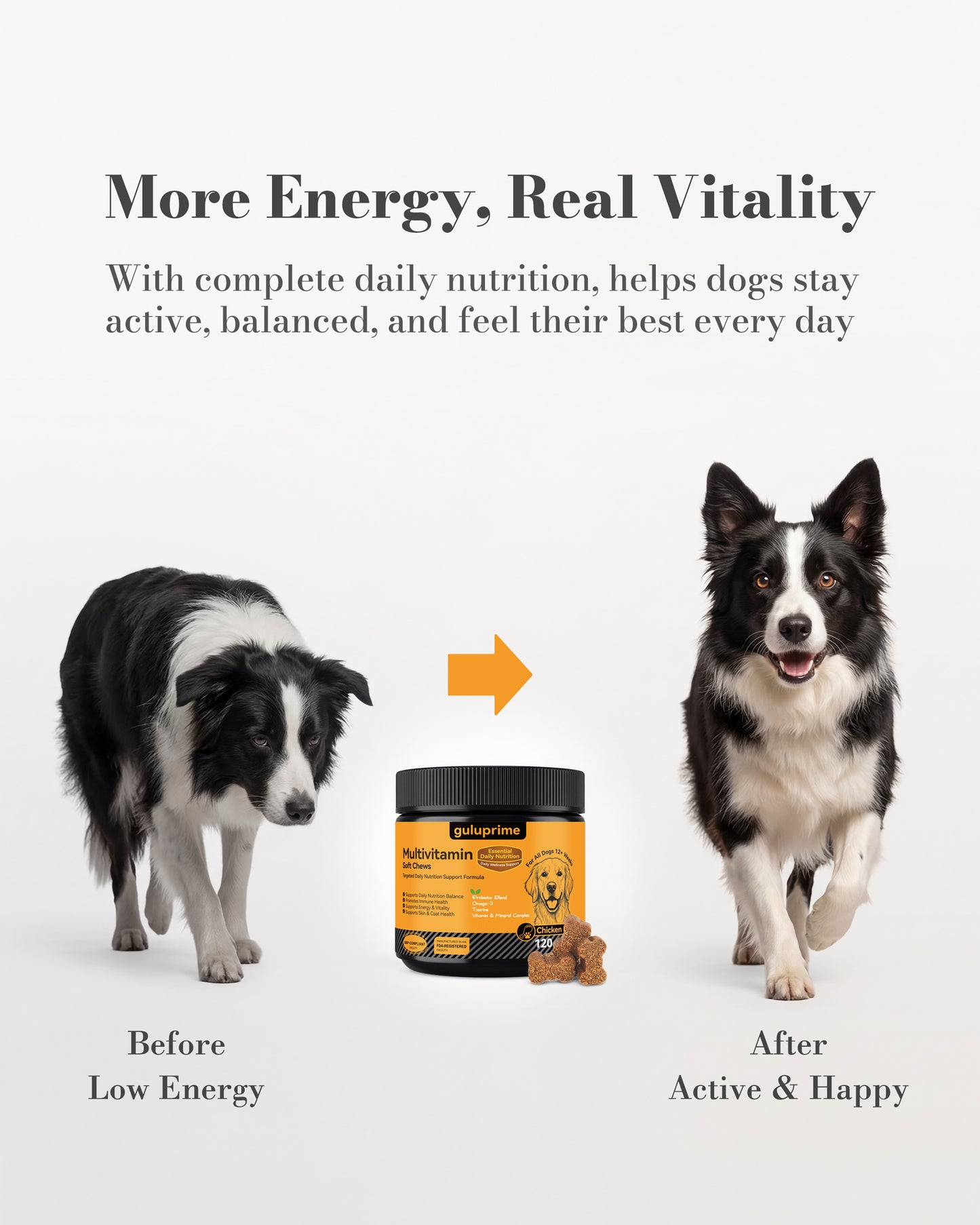 Dog Multivitamin Chews – Multivitamin for Dogs Daily Wellness Support