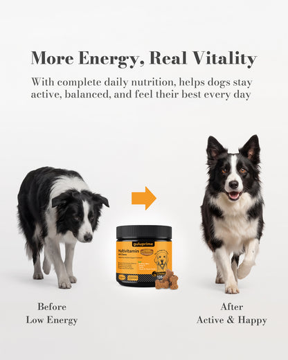 Daily Wellness Bundle