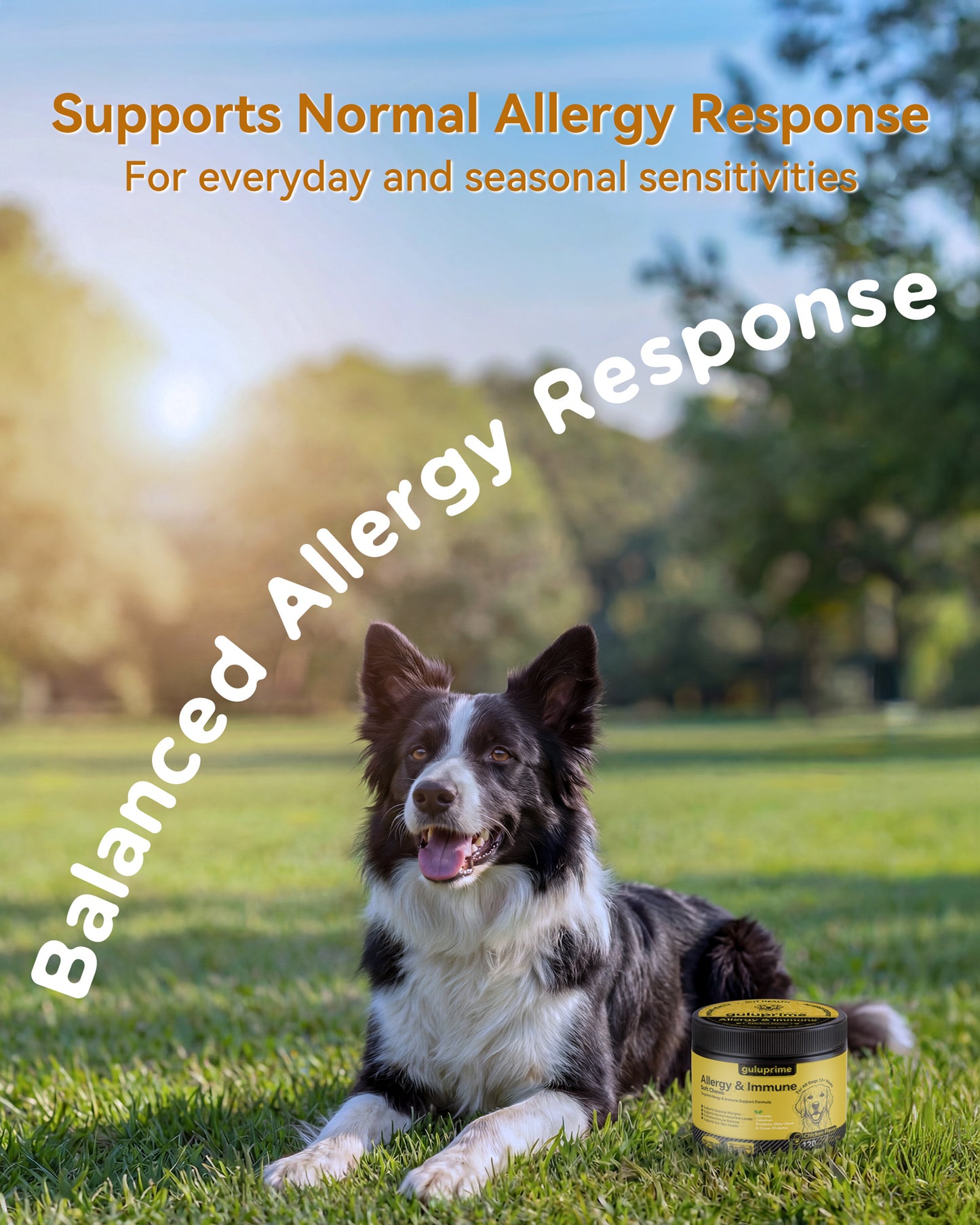 Dog Allergy Relief Chews – Allergy & Immune Support for Dogs