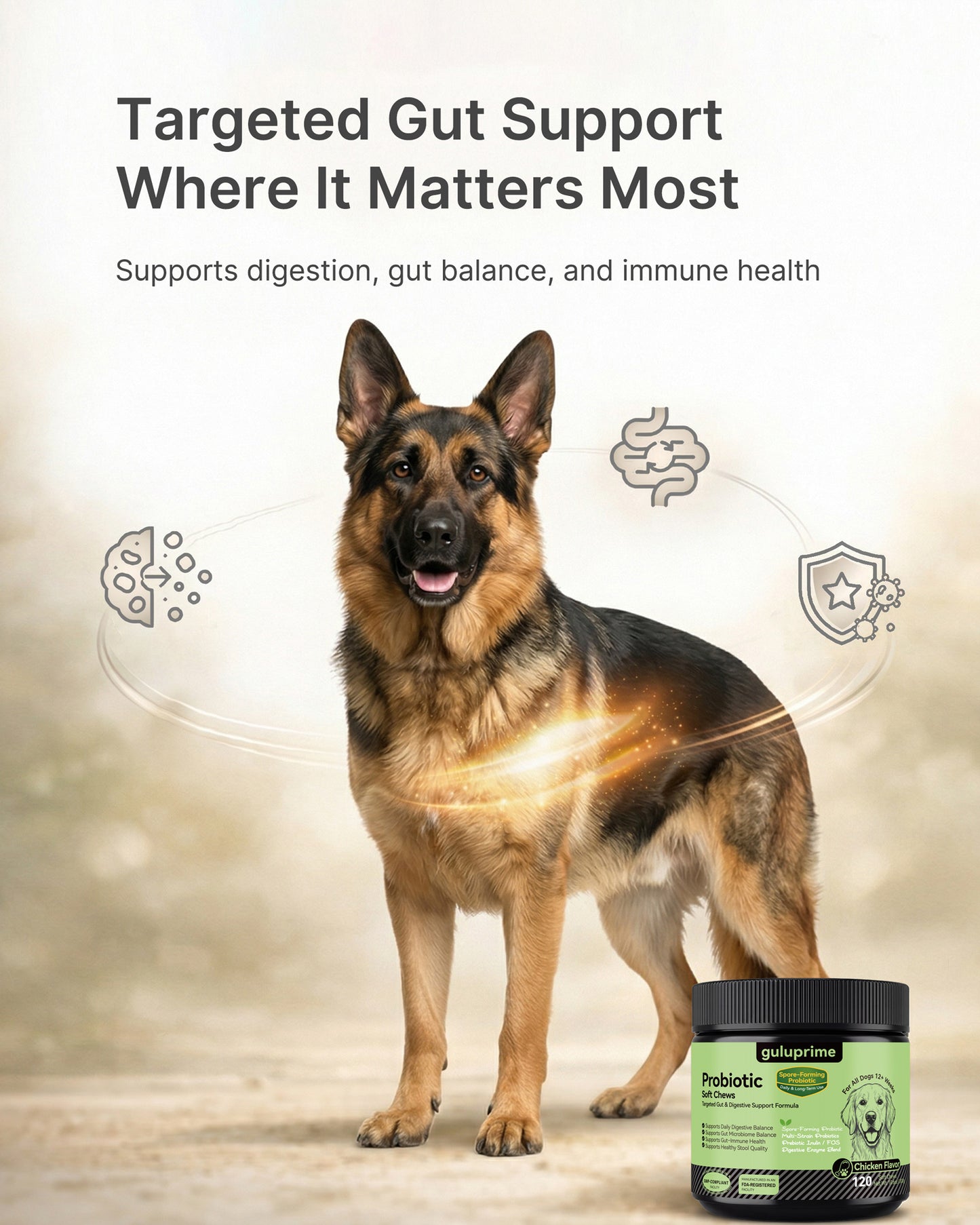 Dog Probiotic Chews – Probiotics for Dogs Gut Health Support