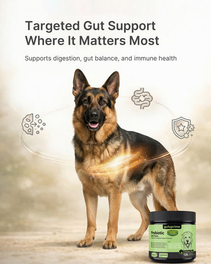 Daily Wellness Bundle