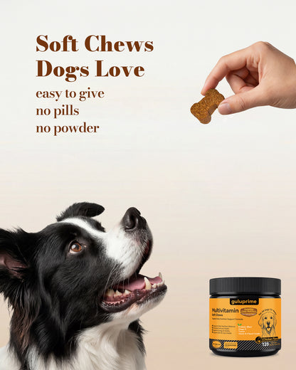 GuluPrime Dog Multivitamin Chews | Daily Wellness Support | 120 Soft Chews