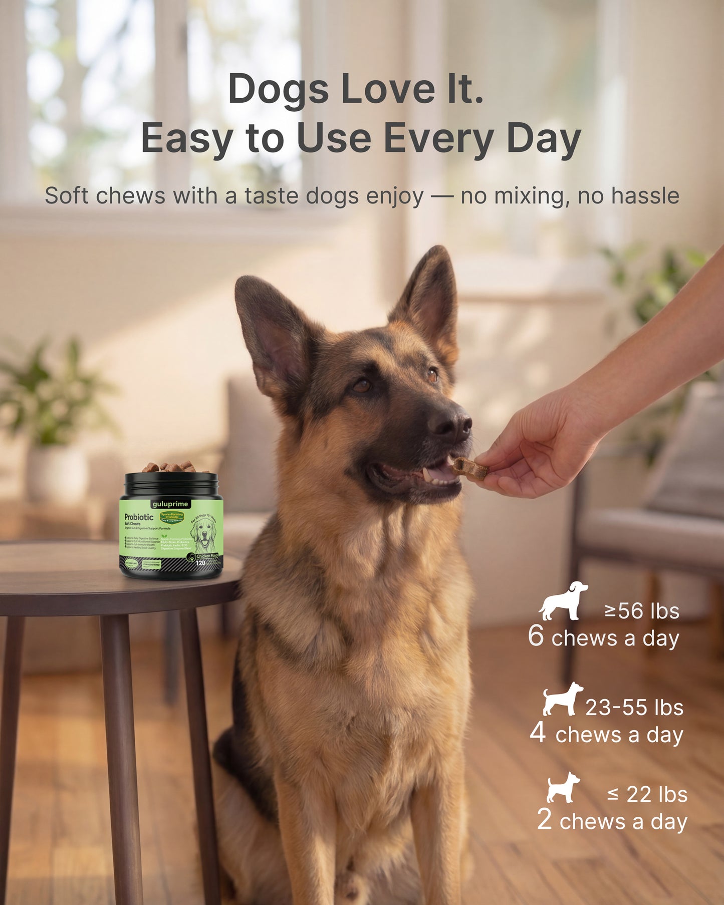 Dog Probiotic Chews – Probiotics for Dogs Gut Health Support